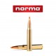 BALA NORMA 280 REM 160 GR TIP STRIKE