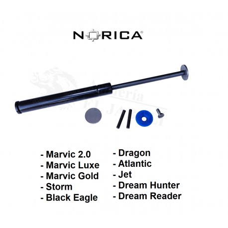 GAS RAM NORICA