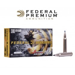 Federal 300 WM 200gr Terminal Ascent