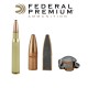 BALA FEDERAL 30-06 SPRING 180GR SOFT POINT