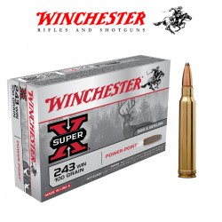 BALA WINCHESTER SUPER X 243 WIN 100GR