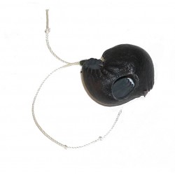 CAPUCHA 02