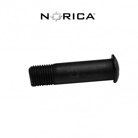 NORICA 123 TORNILLO DE LA BISAGRA