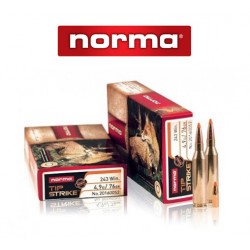 BALA NORMA 243 WIN 76Gr TIP STRIKE VARMINT