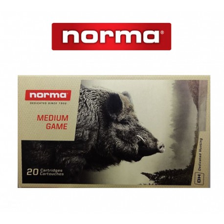 BALA NORMA 30-06 SPRING 180GR PLASTIC POINT