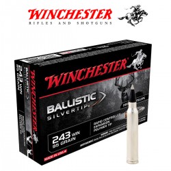 BALA WINCHESTER 243 Win 95 GR BALLISTIC SILVERTIP