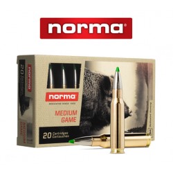 BALA NORMA 308 Win 150g EcoStrike