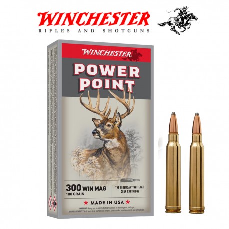 BALA WINCHESTER SUPER X 300WM 180GR