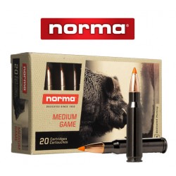 BALA NORMA 308 WIN 170GR TIPSTIKE SILENCER