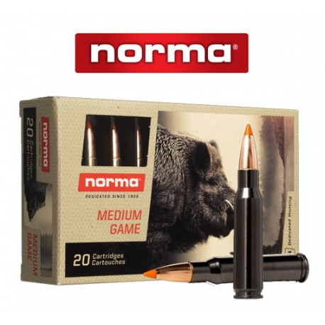 BALA NORMA 308 WIN 170GR TIPSTIKE SILENCER