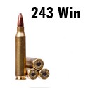 Calibre 243 Winchester