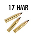 Calibre 17 HMR